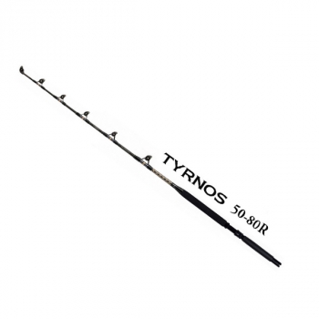 Shimano Tyrnos A Stand-Up 80LB Roller