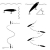 tailwalk-gunz-new-цвет.jpg